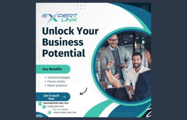 ExpertLinx Inc